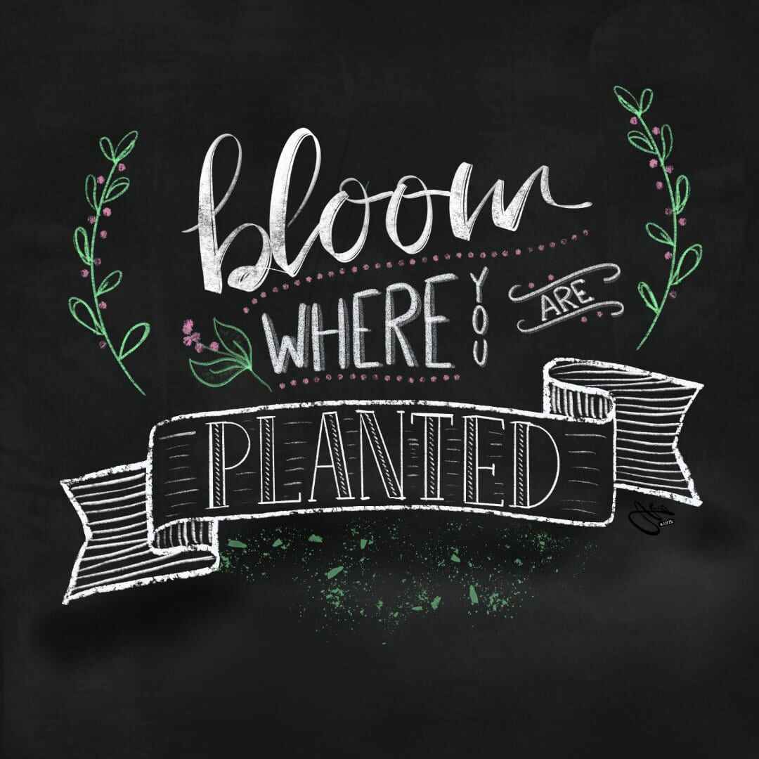 Bloom-Chalk-Lettering-Nesia-earth