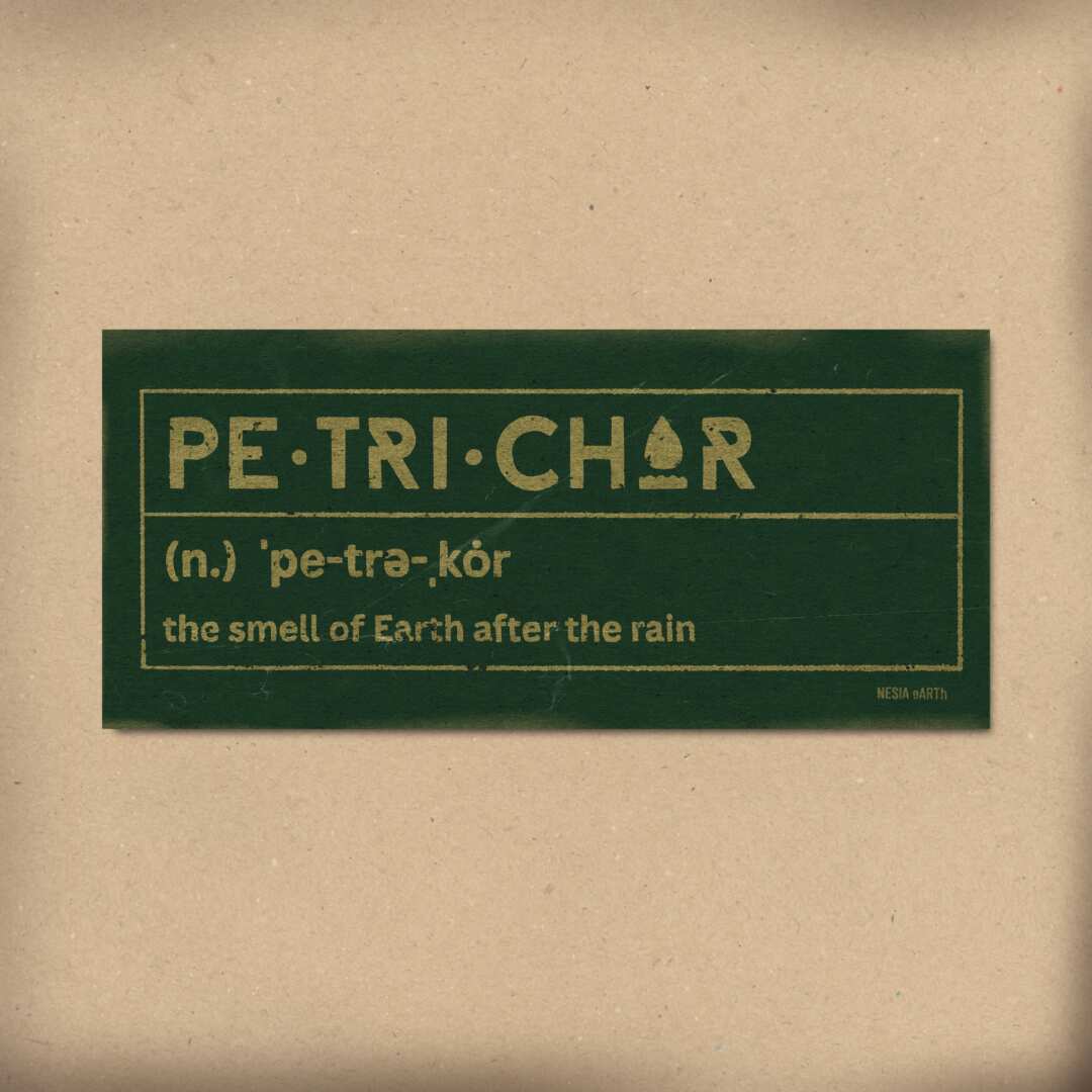 Petrichor-label-lettering-Nesia-earth